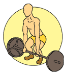 Powerlifting Live